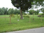 Haines Cemetery in Union Twp.